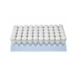 Capsule Ossido di zinco eugenolo
