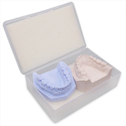 Contenitore con spugna trasporto modelli TB1