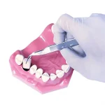 Cutanplast dental spugna gelatinosa