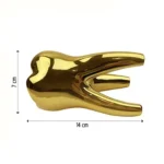 Dente sopramobile color oro