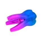 Dente sopramobile colorato