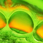 Elite HD+ putty soft normal setting - immagine 4