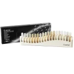 G-aenial anterior colori