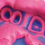 Hydrorise putty normal setting impronta