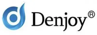 Logo Denjoy
