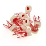 Modello canale radicolare per studenti