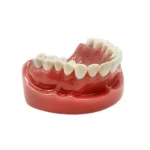 Modello pratica studenti odontoiatria