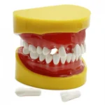 Modello simulazione studenti