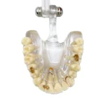 Modello visivo per pazienti