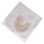 Piastre termoformatura apparecchio trasparente