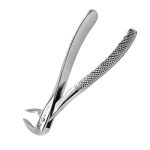 Pinza canini inferiori