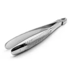 Pinza estrazione adulti n1