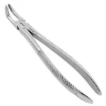 Pinza estrazione n79 molare