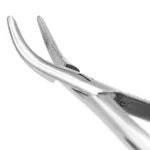 Pinza estrazione resti radice