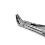 Pinza n8 estrazione premolare inferiore