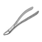 Pinza estrazione pediatrica n138 - immagine 2