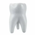 Porta matite forma molare QT-132 ceramica