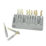 Scala colori VITA 3D master