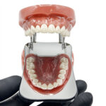 Specchio fotografia doppio occlusale adulti