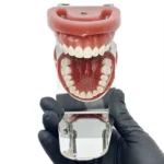 Specchio fotografia intraorale acciaio inox