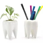 Vaso forma dente