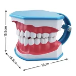 metodo per spazzolare denti
